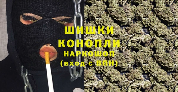 ГАЛЛЮЦИНОГЕННЫЕ ГРИБЫ Абаза