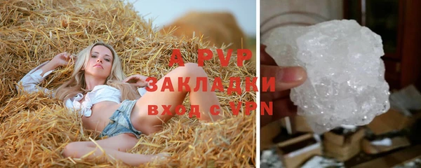 ГАЛЛЮЦИНОГЕННЫЕ ГРИБЫ Абаза
