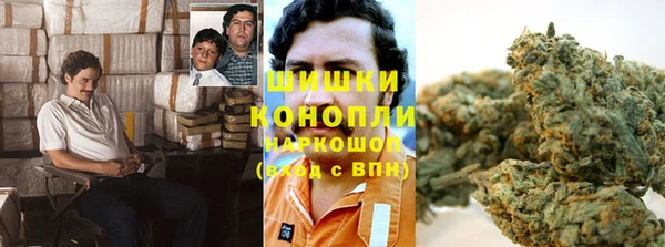 ГАЛЛЮЦИНОГЕННЫЕ ГРИБЫ Абаза