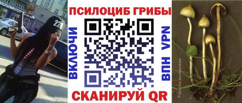 Галлюциногенные грибы прущие грибы  mega зеркало  Урень 