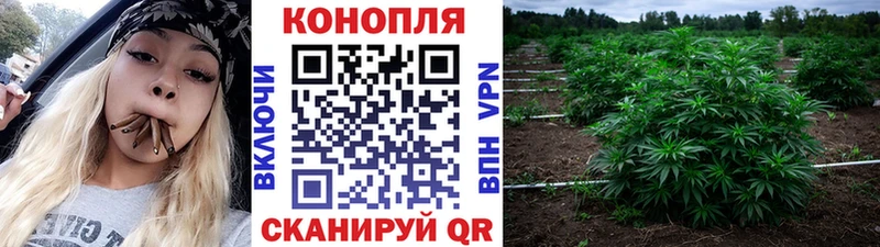 купить наркотики сайты  Урень  Конопля Ganja 